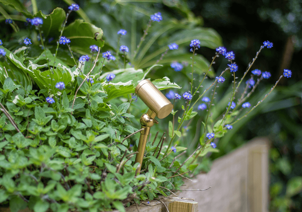 Solar Revolution - Where Innovation Meets Sustainability Soho Lighting
